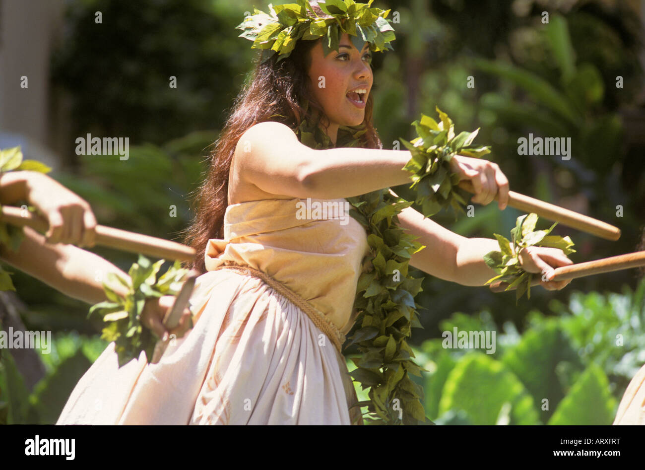 (Kahiko) Hulatänzer mit zwei Kalaau Stöcken und tragen Maile (Blatt-) Lei Lei Day Feier im Hilton Hawaiian Village Hotel Stockfoto