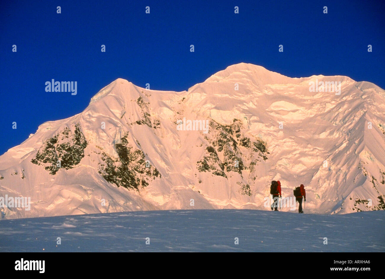 Bergsteigen auf dem Grand Plateau Gletscher mit Mt Tasman im Hintergrund in Mt Cook Nationalpark in Neuseeland Stockfoto