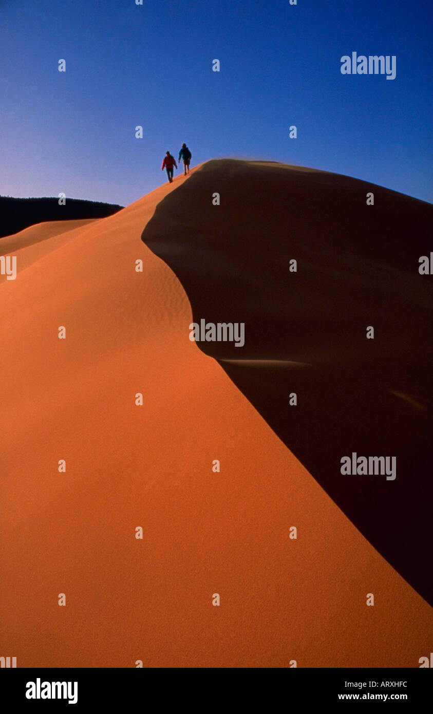 Wanderer zu Fuß entlang dem Kamm der Düne in Coral Pink Sand Dunes State Park in Süd-Utah Stockfoto