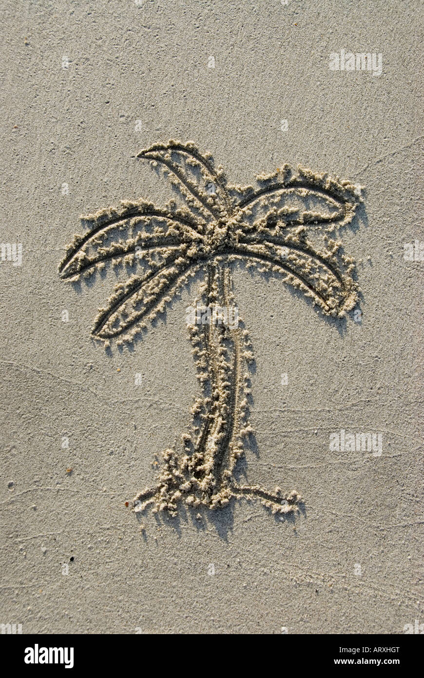 Strandsand zeichnen Palm Tree Langkawi Malaysia Stockfoto