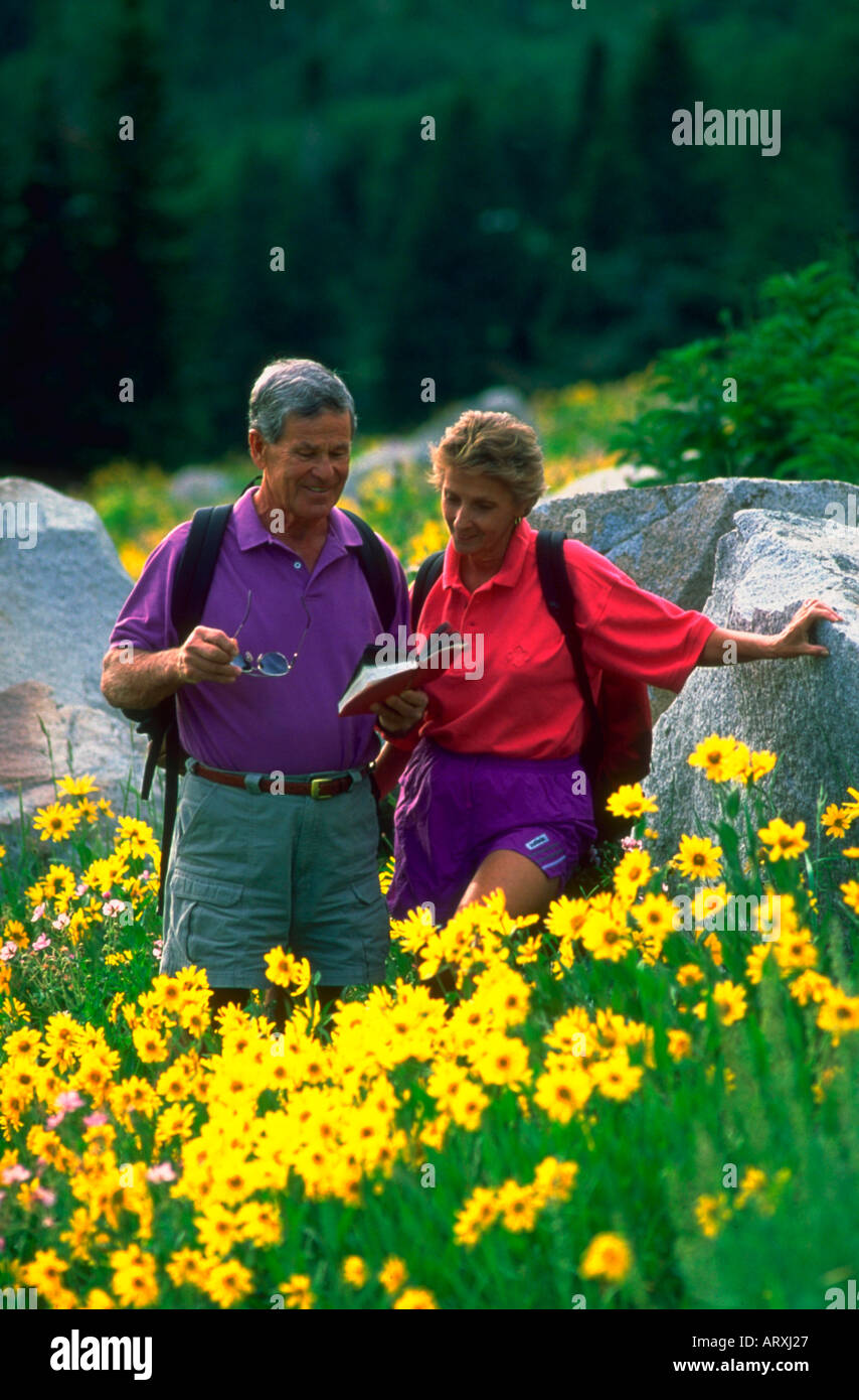 Älteres paar Leseleitfaden ein Feld beim Wandern in einem Feld von gelben Blüten in den Bergen Stockfoto