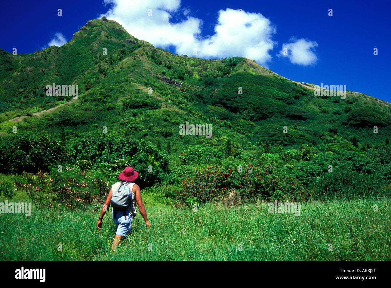 Wanderer auf der windzugewandten Seite von Oahu Stockfoto