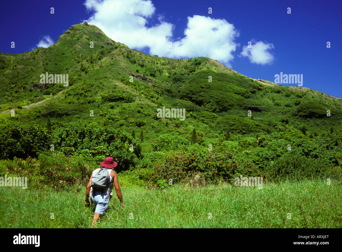 Wanderer auf der windzugewandten Seite von Oahu Stockfoto