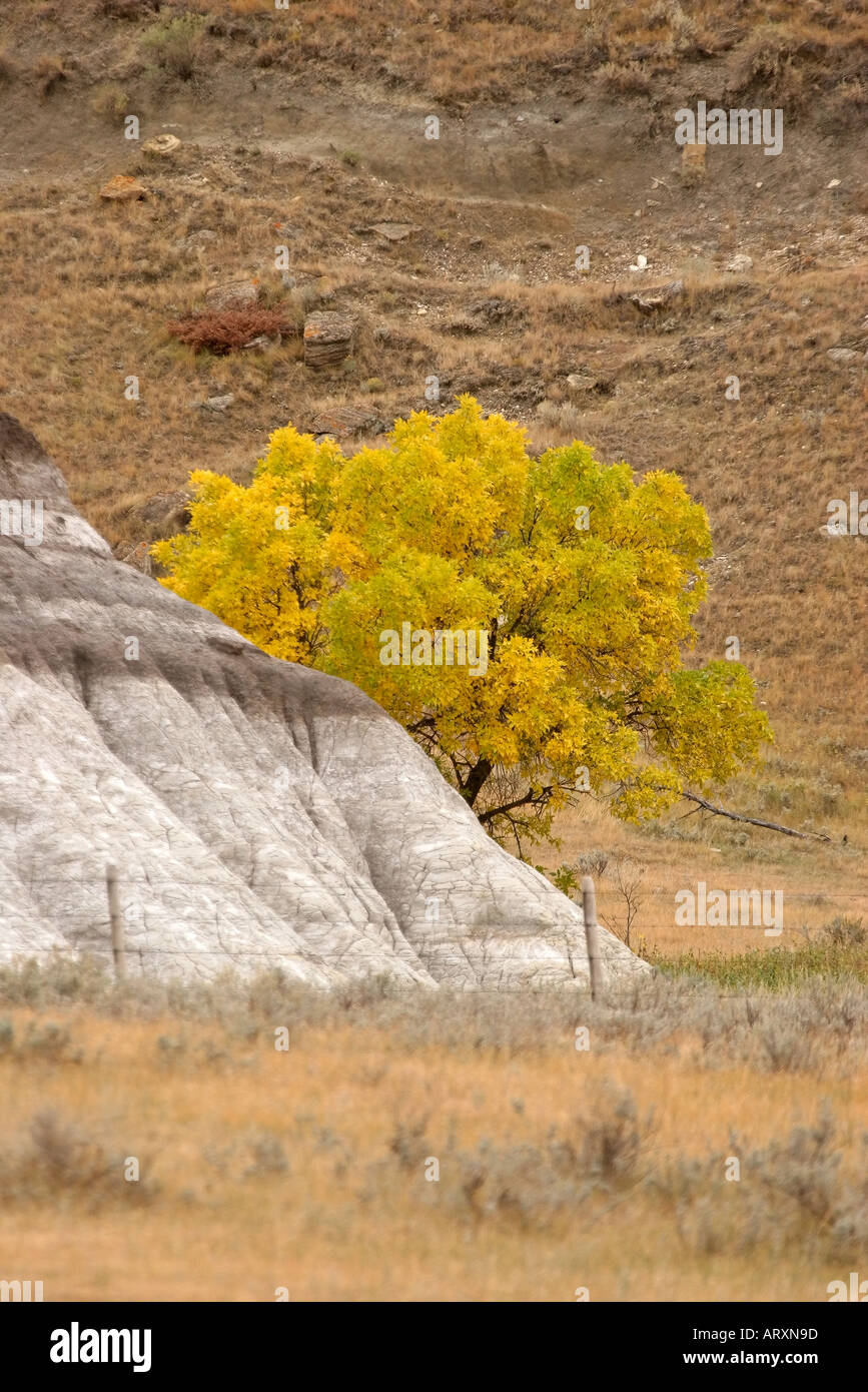 Herbstfarben im Big Muddy Tal im malerischen südlichen Saskatchewan Stockfoto