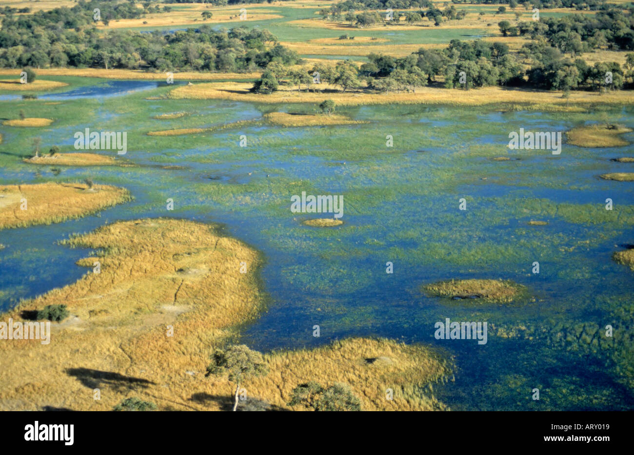 Okavango Delta aus der Luft, Botswana Stockfoto