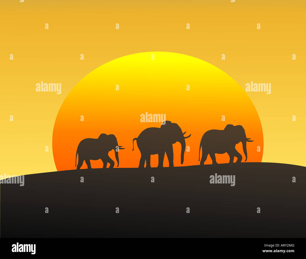 Vektor-Illustration von Elefanten Silhouette gegen die untergehende Sonne Stockfoto