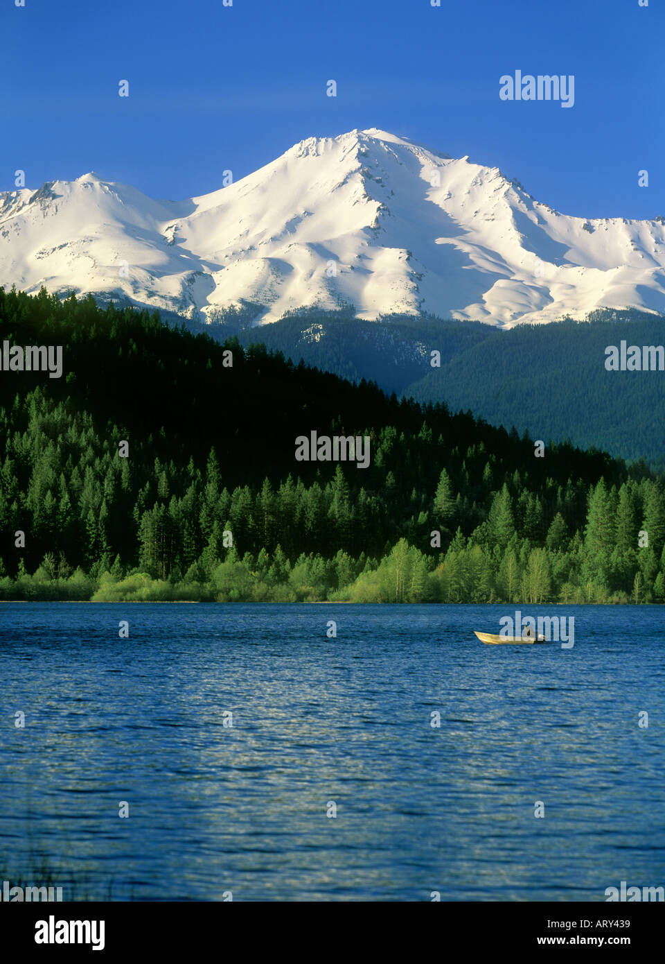 Mount Shasta vom See Siskiyou mit Bootsfahrer auf See Stockfoto