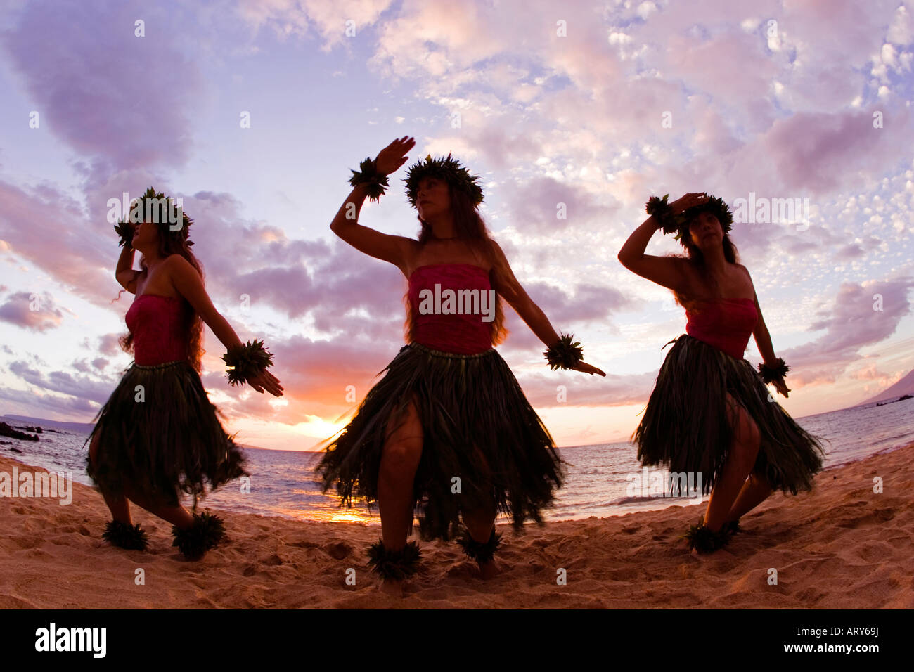 Maui backpage frauen suchen männer
