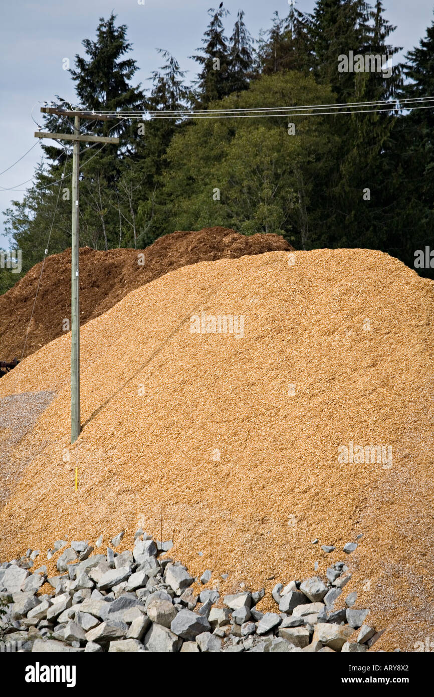 Hackschnitzel in Englewood Wald Operationen Northland-Chip-Werk Beaver Cove Vancouver Island Kanada Stockfoto