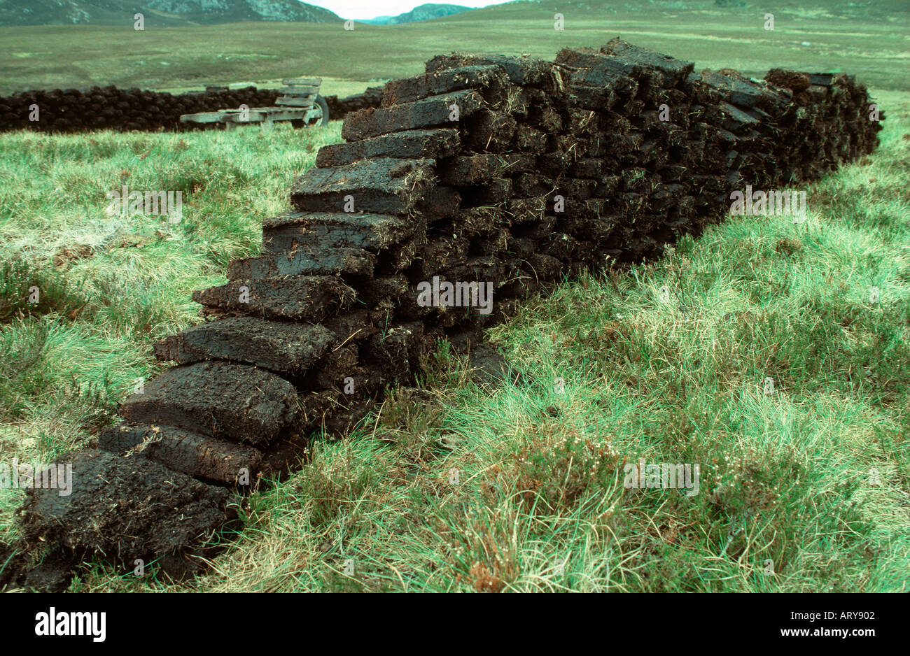 Hand gegraben Torf Schottisches Hochland in der Nähe von Inverness Schottland, Vereinigtes Königreich Stockfoto