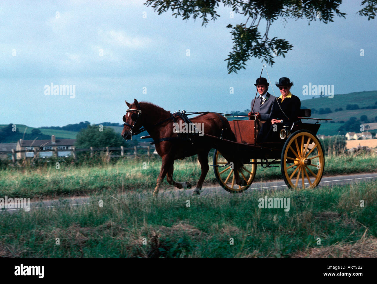 paar in Fahrt und fahren Pferd trap Cotswolds UK Stockfoto