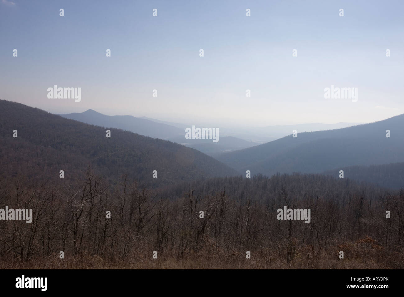 Doyle s River mit Blick auf Skyline Drive Shenandoah-Nationalpark Virginia 16. Februar 2008 Stockfoto