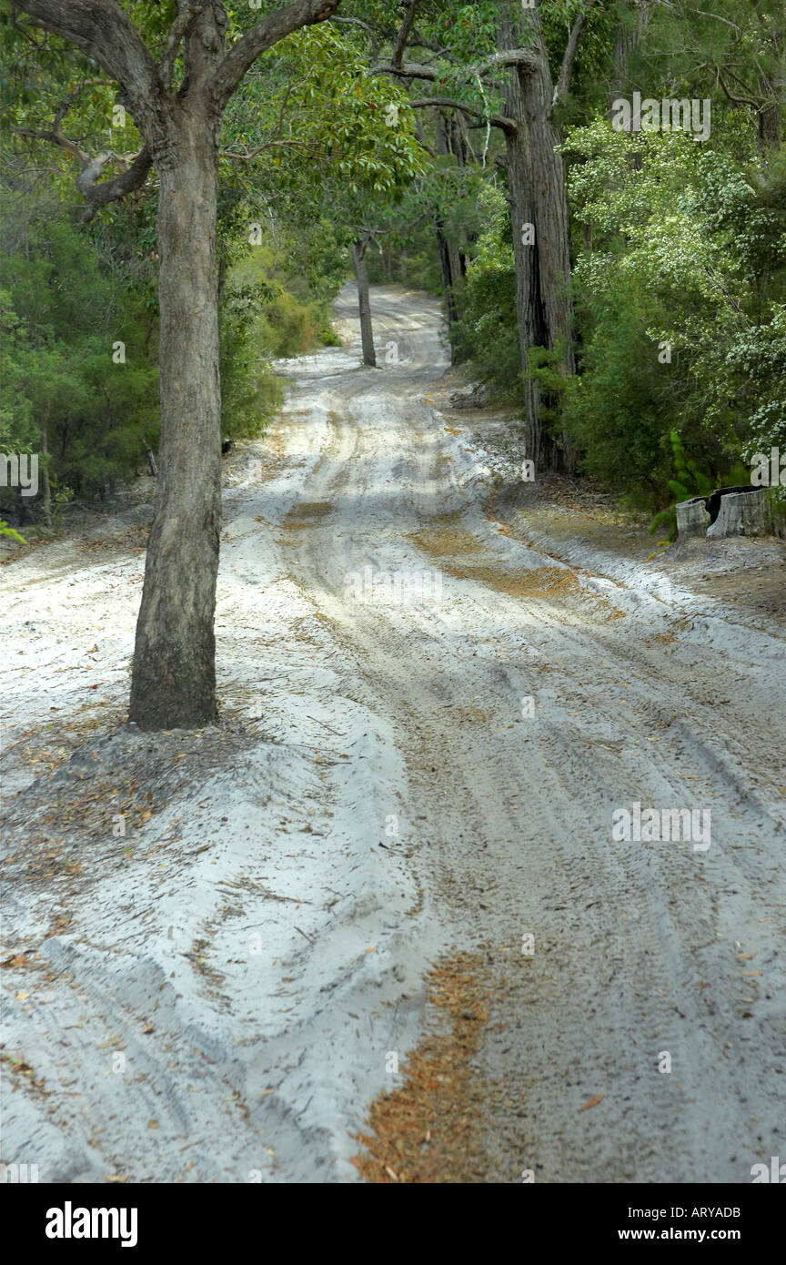 Sandy Road K'gari / Fraser Island Queensland Australien Stockfoto