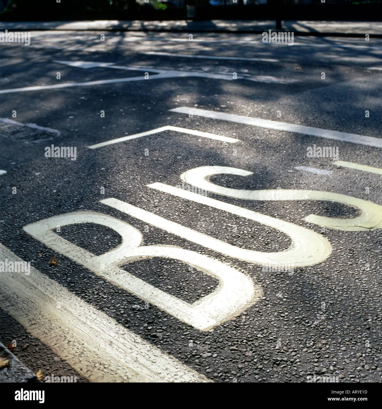 Straßenmarkierungen der eine Busspur London England UK Stockfoto