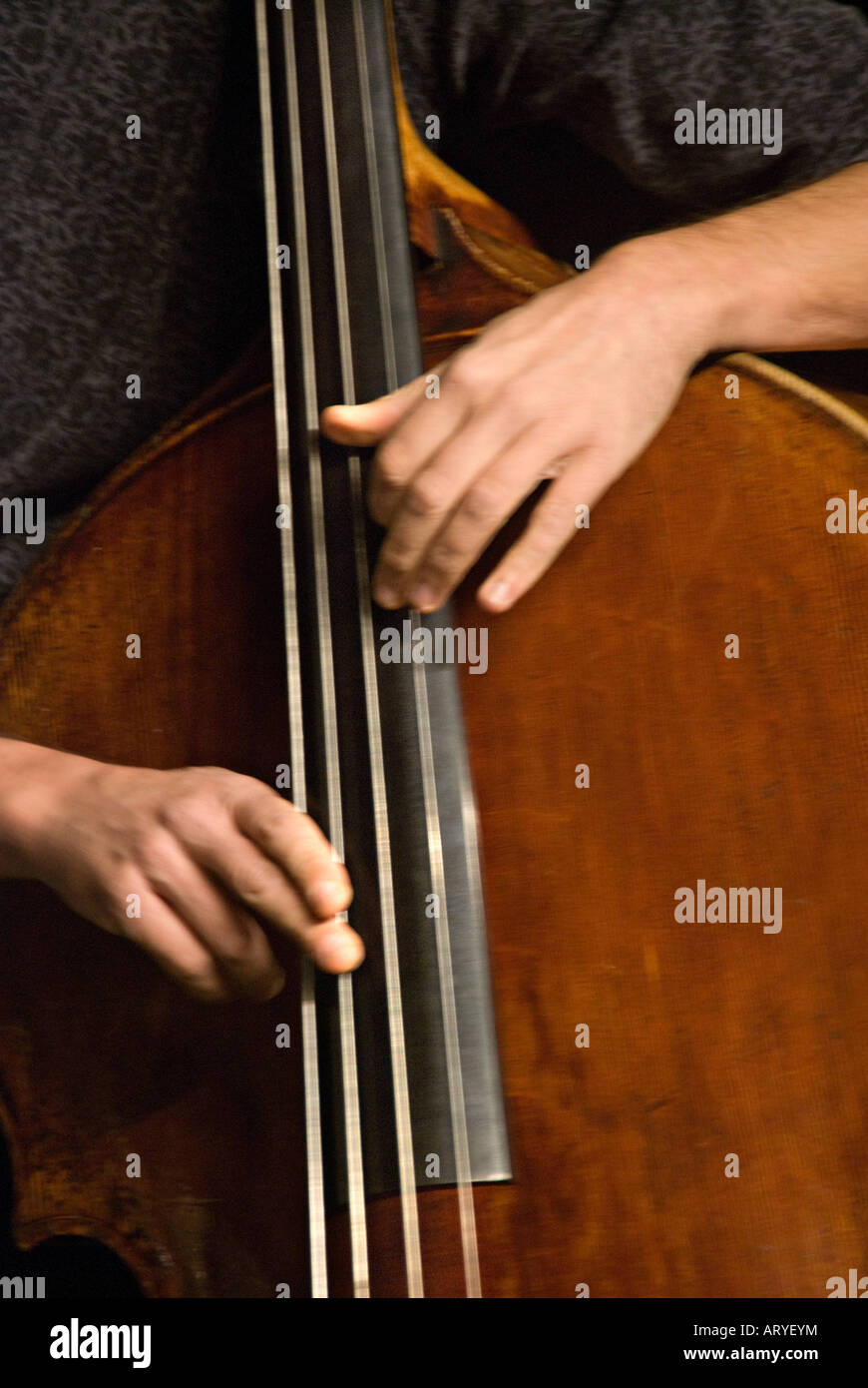 Ein Kontrabassist Stockfoto