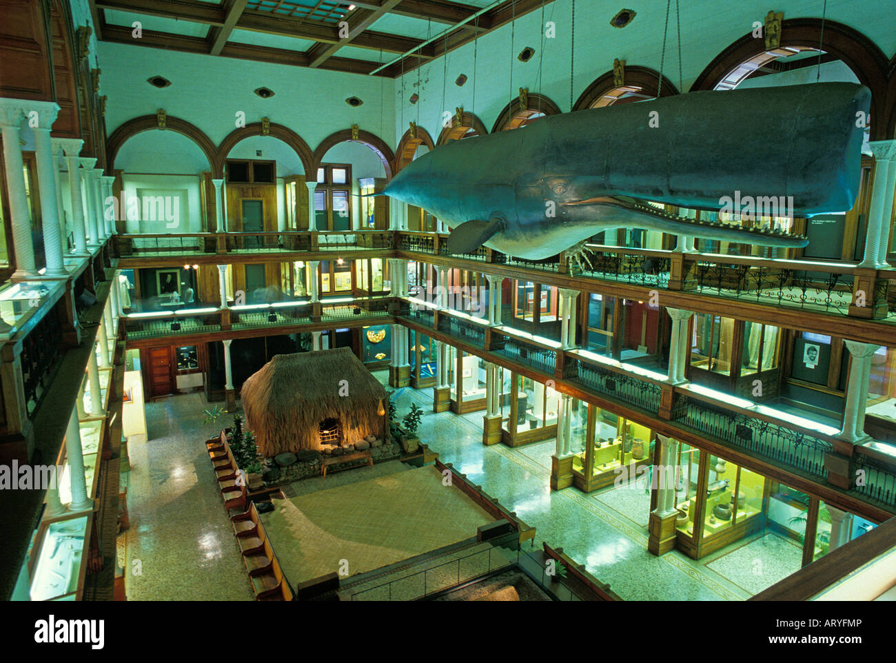 Innere des mehrstufigen Hall Wal oben rechts und Gras hale ebenerdig auf dem Display im Bishop Museum in Honolulu Stockfoto