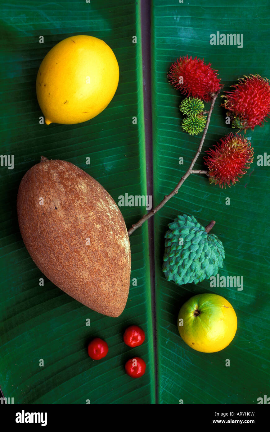 Exotische Früchte (im Uhrzeigersinn von oben rechts): Atemoya, Lilikoi, Acerola (Surinam Kirschen), Rambutan, Sapote, Hula-Brüder Stockfoto