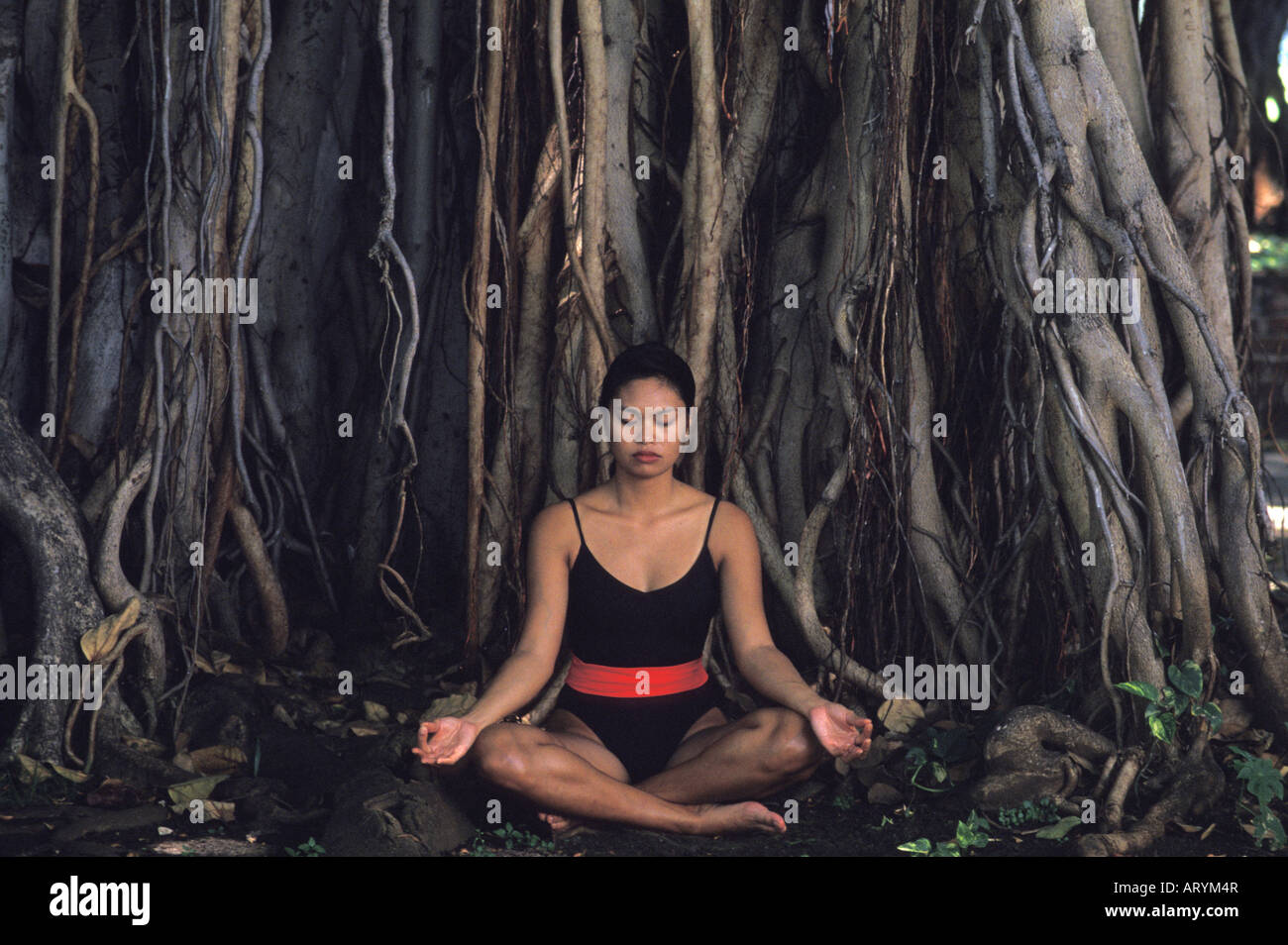 Frau bei einem Banyanbaum zu meditieren Stockfoto