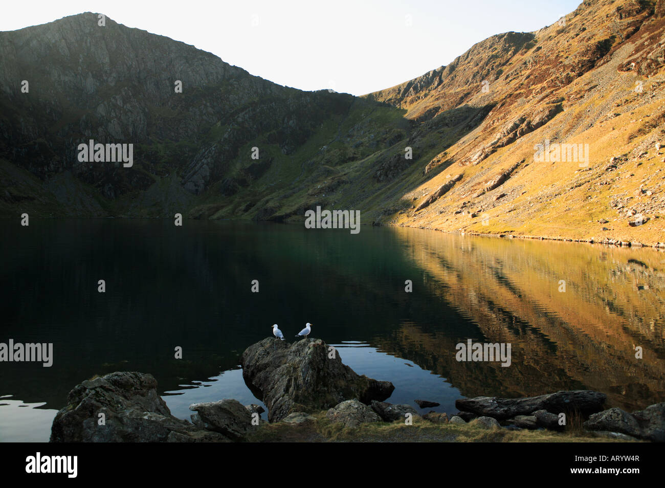 Weiten Blick über Llyn Cau, einem walisischen Bergsee auf Cadair Idris an einem noch im Winter bei niedrigen Sonnenschein mit satten Farben Stockfoto