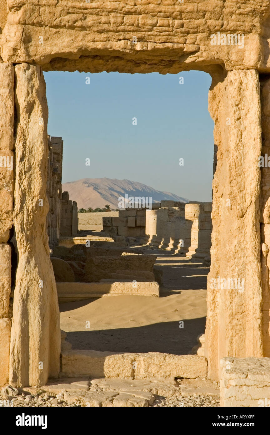 Tür, Eingangsportal, inmitten der Ruinen der alten Tadmor, Palmyra, Zentrum von Syrien, Naher Osten. DSC 5886 Stockfoto