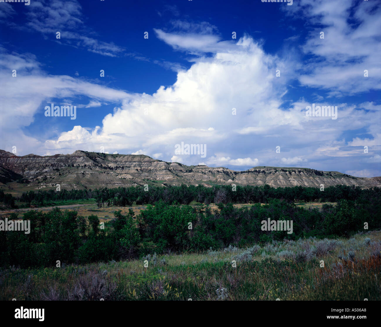 Theodore Roosevelt Nationalpark in der Nähe von Medora in North Dakota mit einer westlichen Landschaft von Wiesen und Ödland buttes Stockfoto