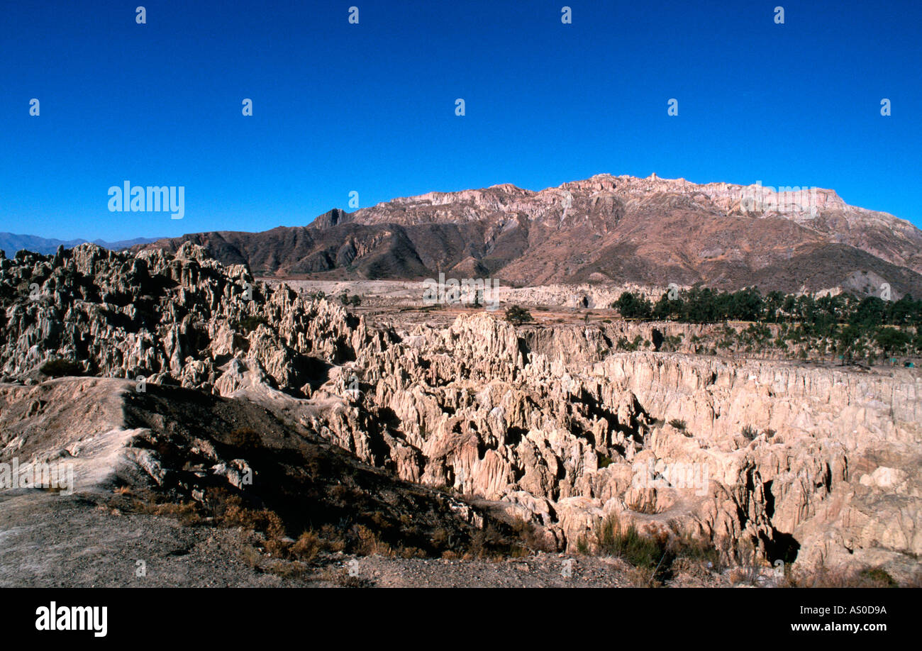 La Paz Tal des Mondes-Bolivien Stockfoto