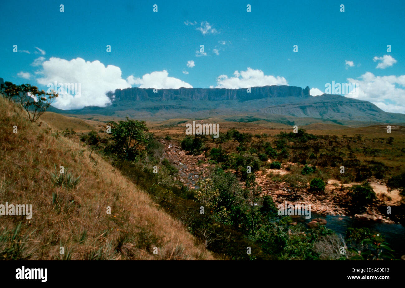 Mount Roraima Roraima Staat Süd-Venezuela Stockfoto