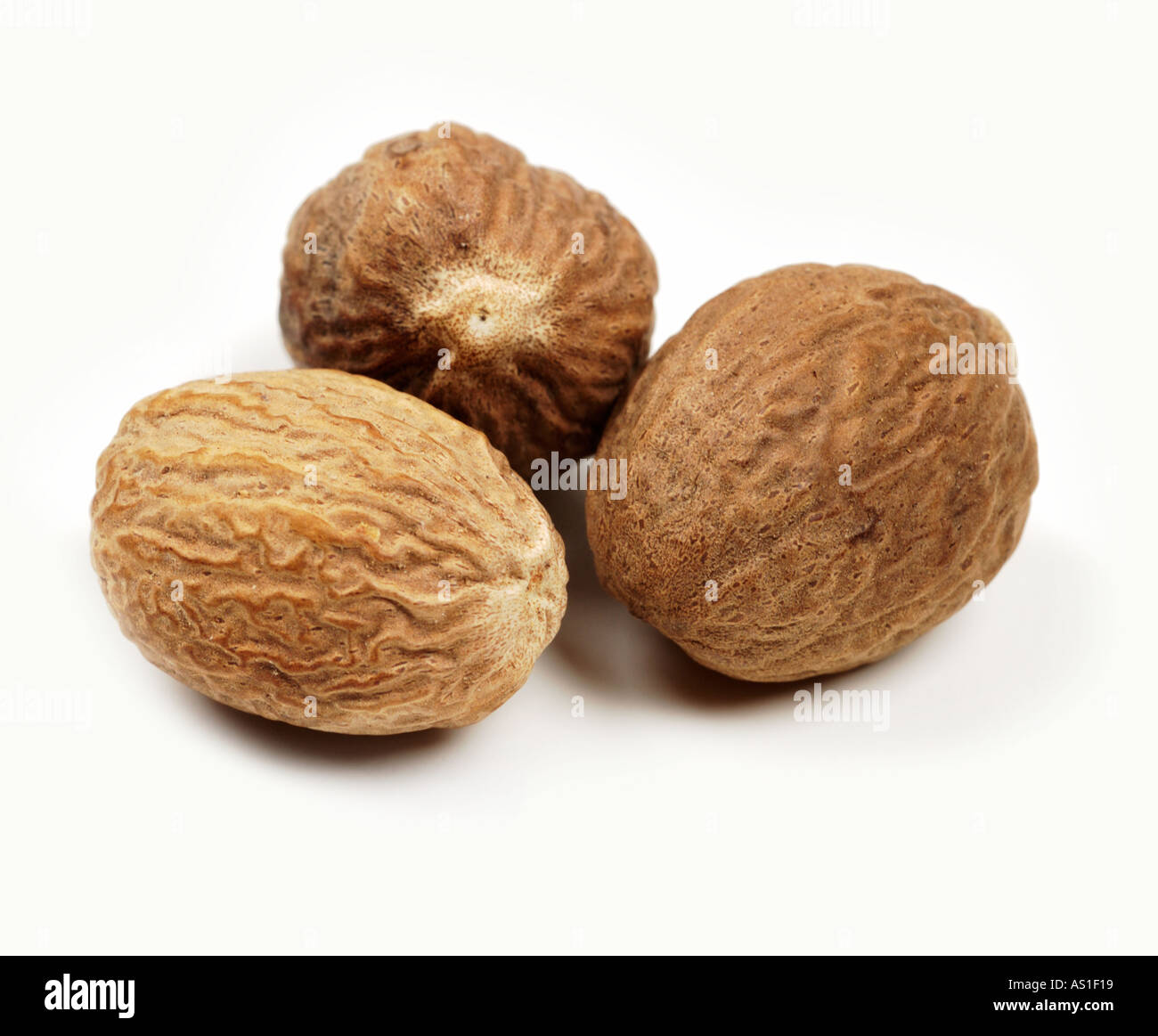ganze Muskatnuss Stockfoto
