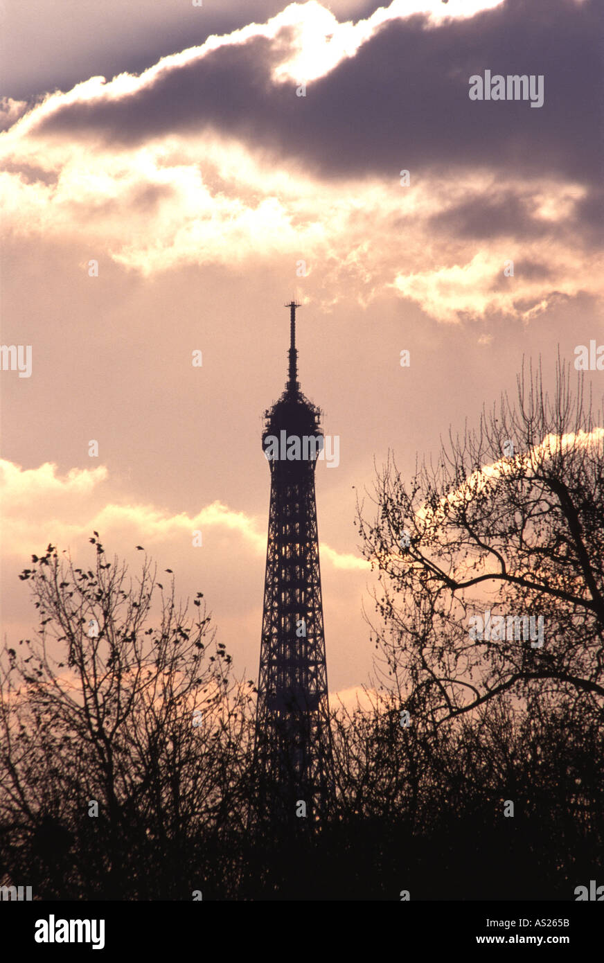 Der Eiffle Turm von der Place De La Concorde, die Silhouette von einem Winter Sonnenuntergang gesehen Stockfoto