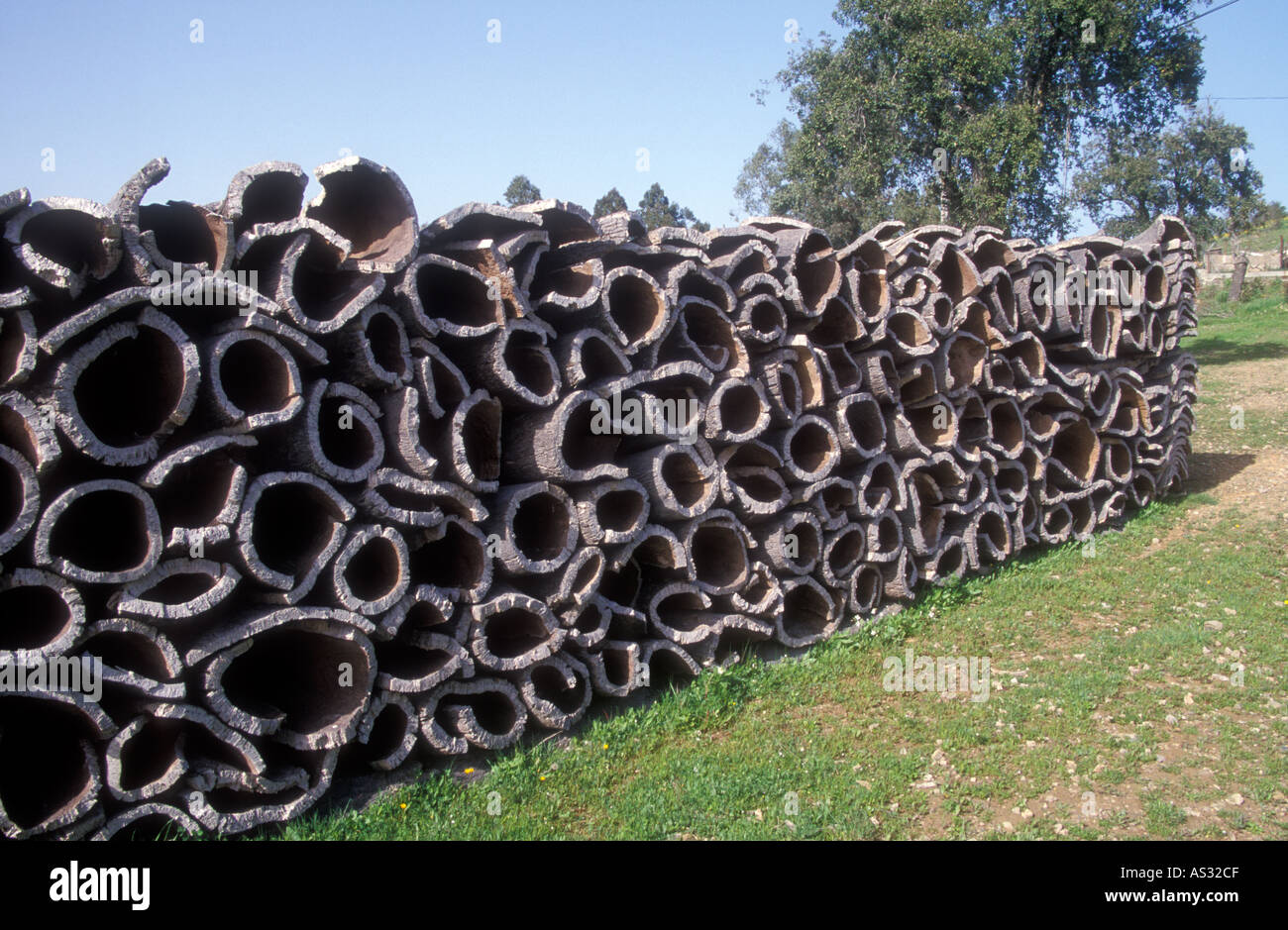 Kork von Korkeichen in Portugal Stockfoto