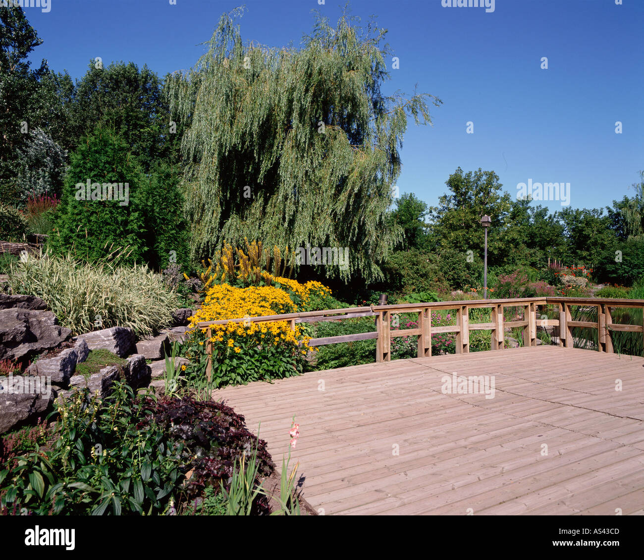 Deck und Pflanzen im Garten Stockfoto