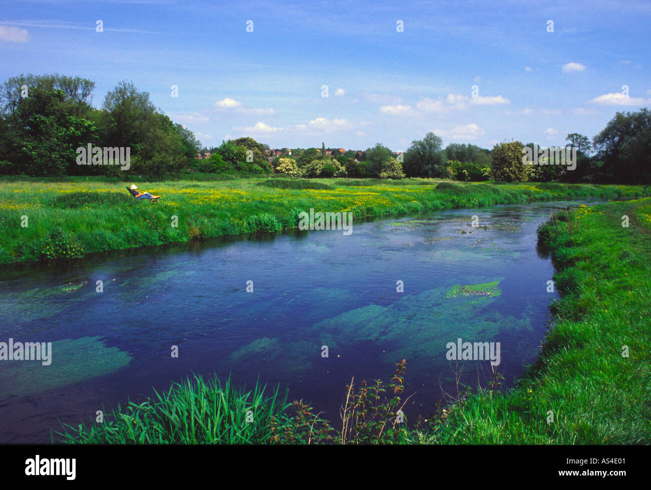 Fluß Gade Boxmoor Vertrauen Hemel Hempstead, Hertfordshire Stockfoto