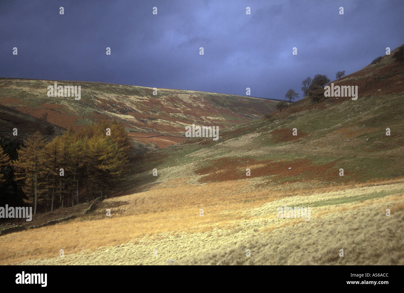 Howden Moor, Derbyshire, England Stockfoto