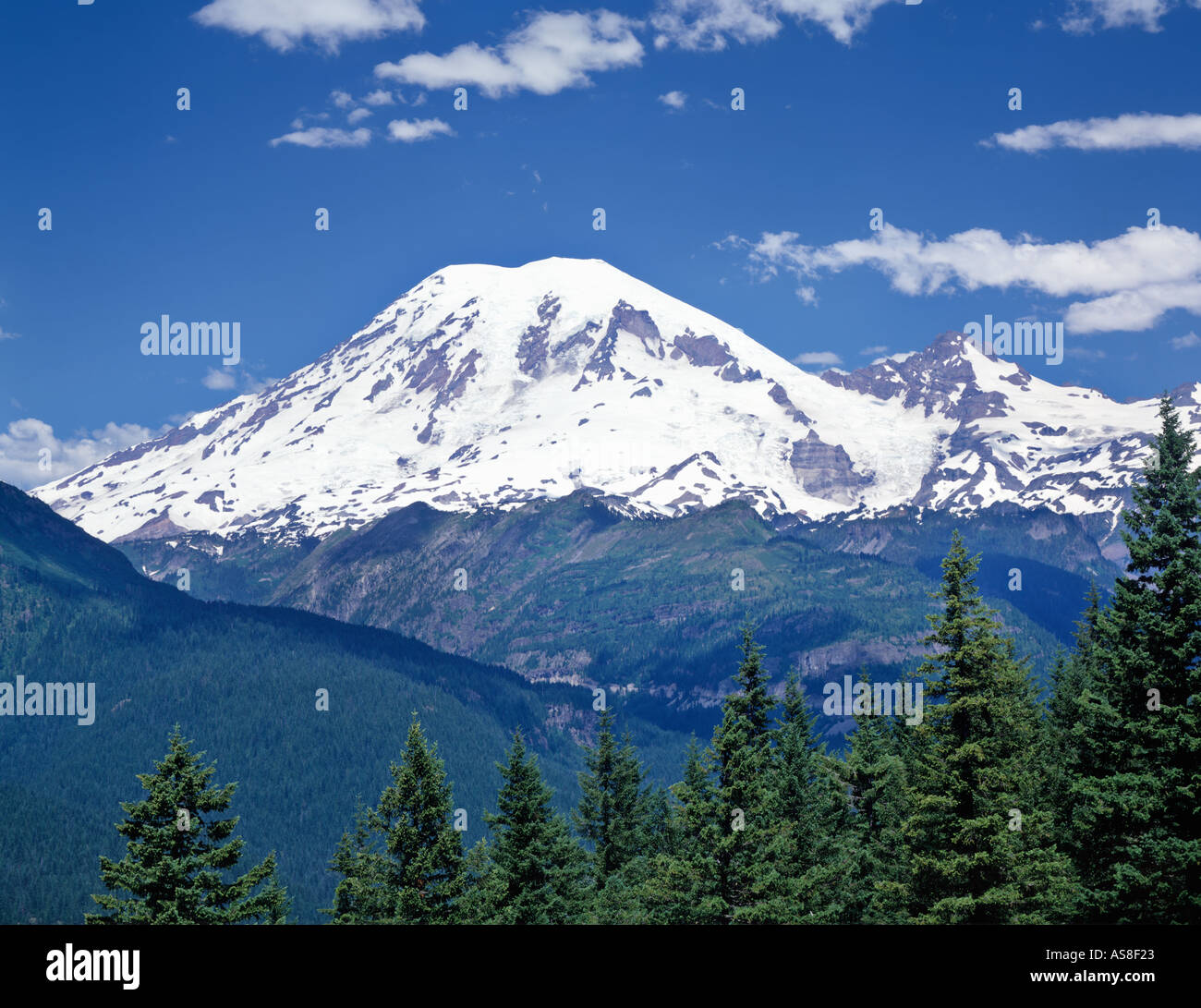 Mount Rainier in Mt Rainier National Park im US-Bundesstaat Washington USA Stockfoto