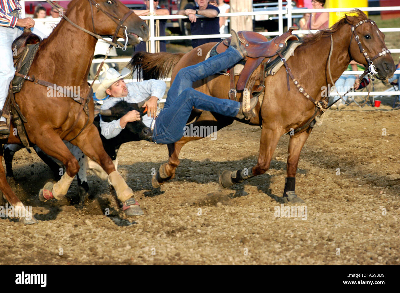Männchen beteiligt sich an Rodeo-Wettbewerb Stockfoto