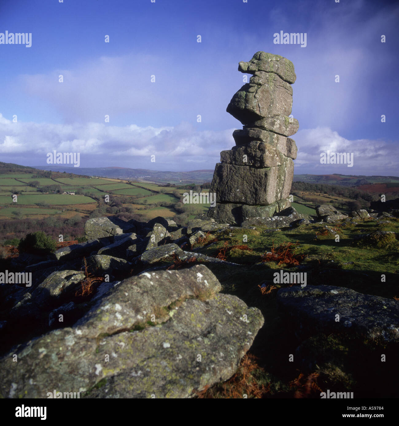 Bowermans Nase Dartmoor Nationalpark Devon Südwest-England UK GPLM 1140 Stockfoto