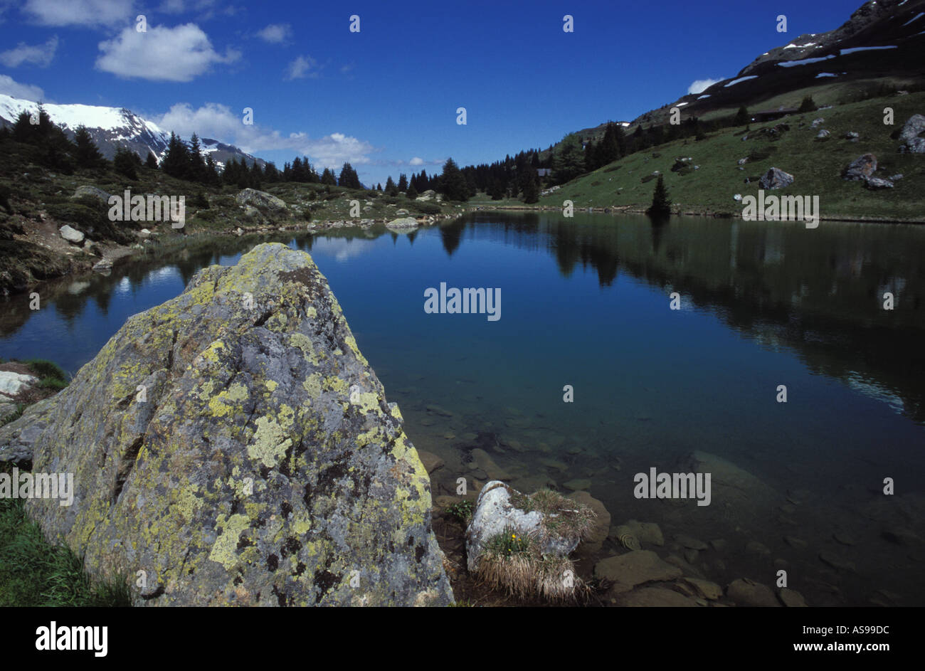 See an der Alp Flix Graubünden Schweiz Stockfoto