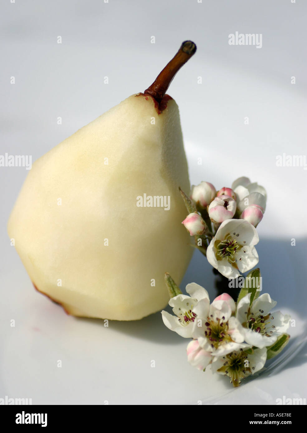 Geschälte, Dessert Birne auf weißen Porzellanteller, mit hübschen Birne Blüte Stockfoto