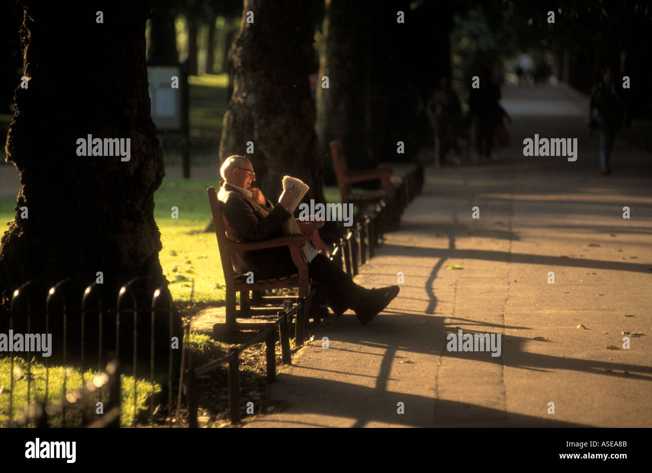 ein Alter Mann liest die Zeitung im Park an einem sonnigen Tag Stockfoto