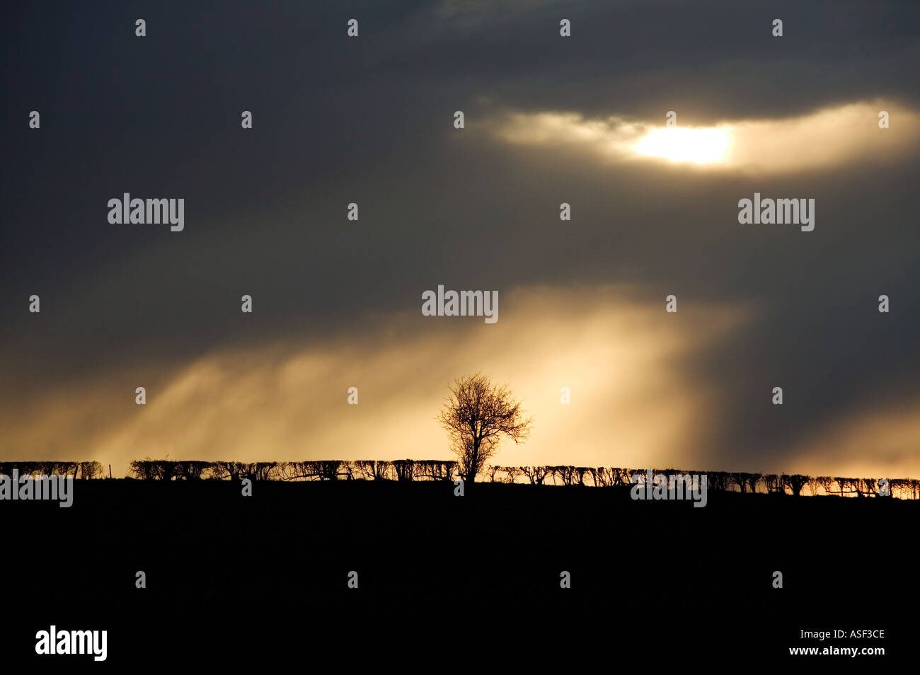 Gewitterwolken über Worcestershire UK März 2004 Stockfoto