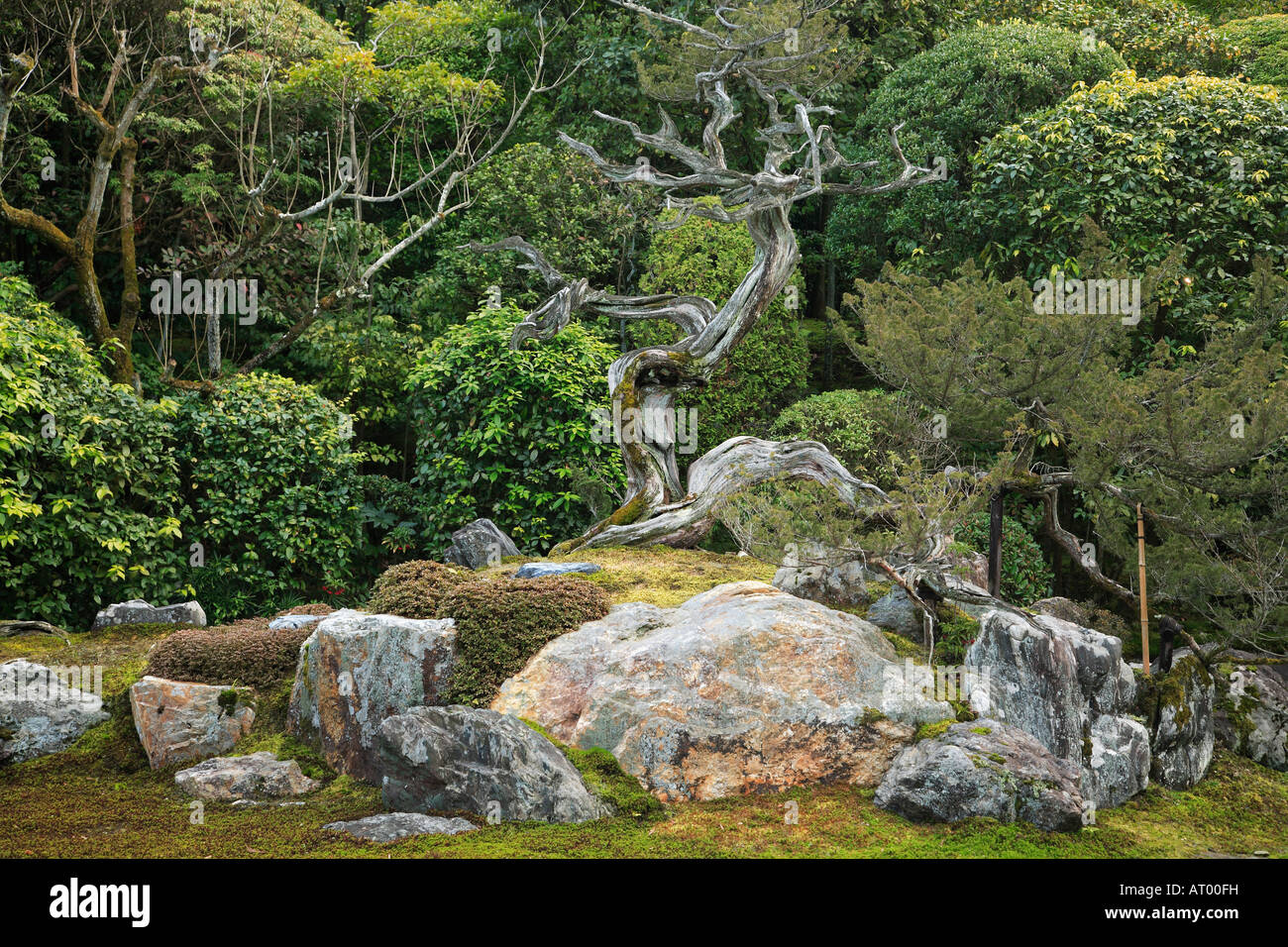 Japan-Kansai-Kyoto-Konchi im buddhistischen Tempel Kranich und Schildkröte Garten Stockfoto