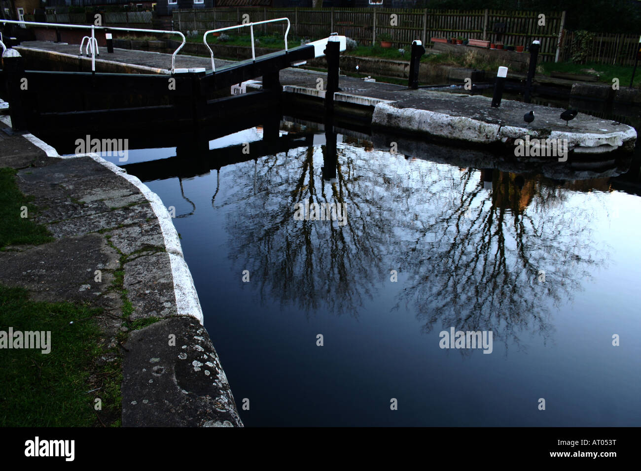 Baum-Reflexionen im Regents Canal in der Nähe von Schleusentoren Stockfoto