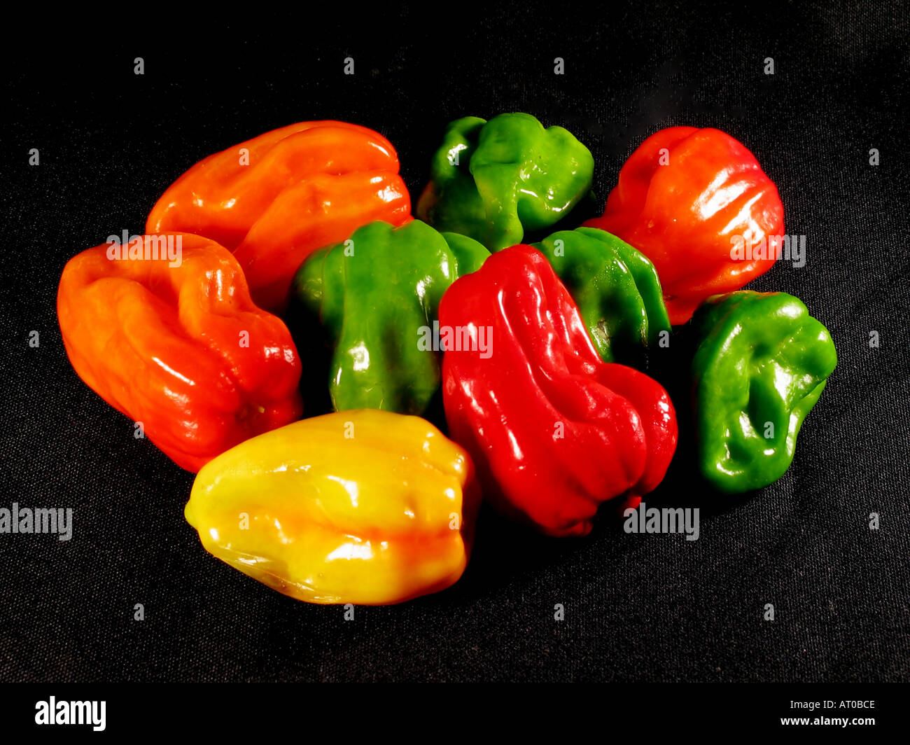 Aji Chombo auch bekannt als Scotch Bonnet Pfeffer oder Habanero Pfeffer Stockfoto