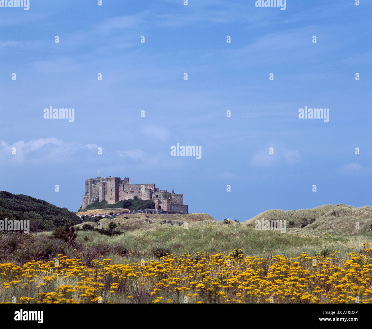 Bamburgh Castle Northumberland aus Süd-Ost im Hochsommer. Stockfoto
