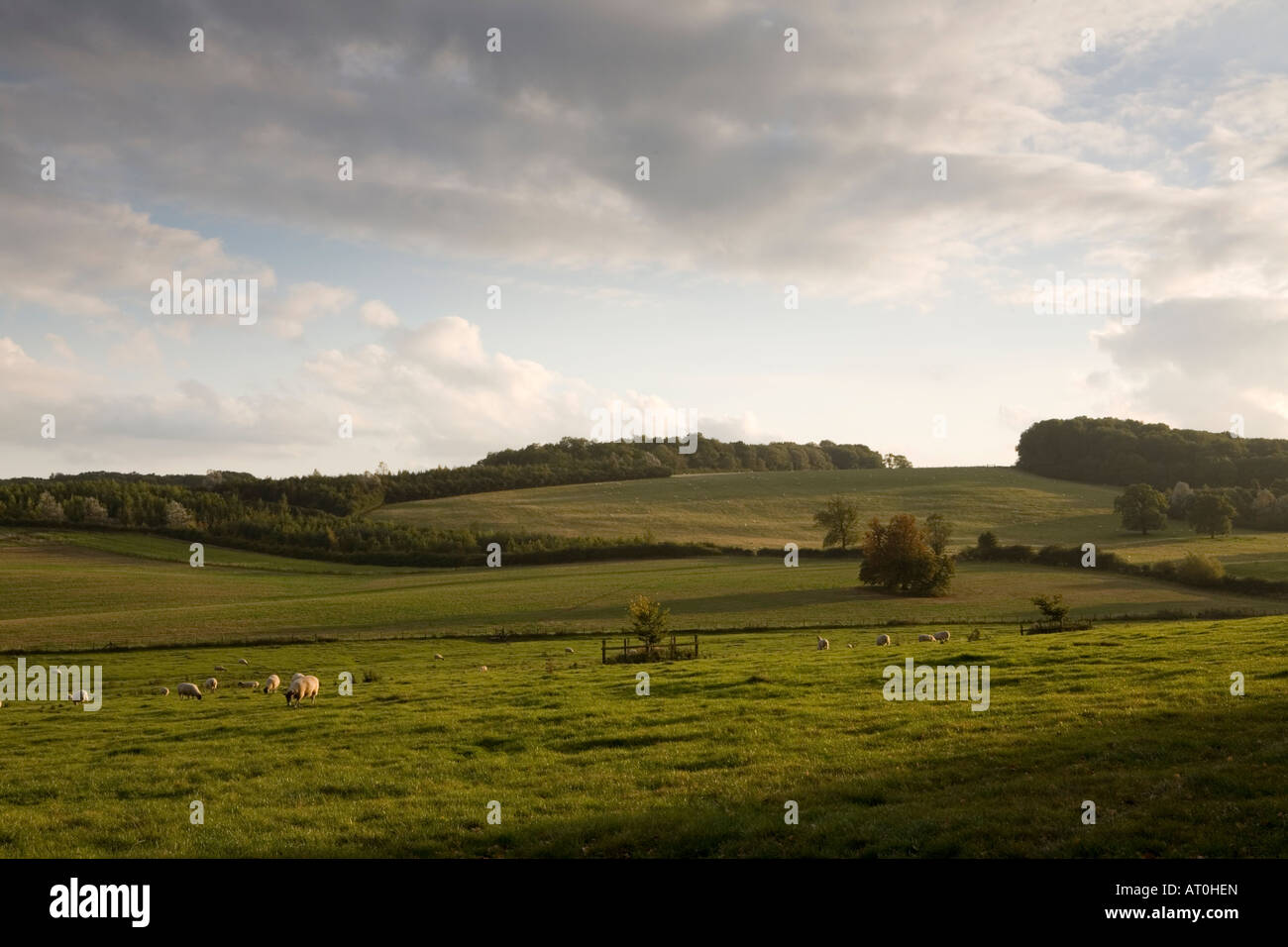 Abends Stockerston Leicestershire Stockfoto