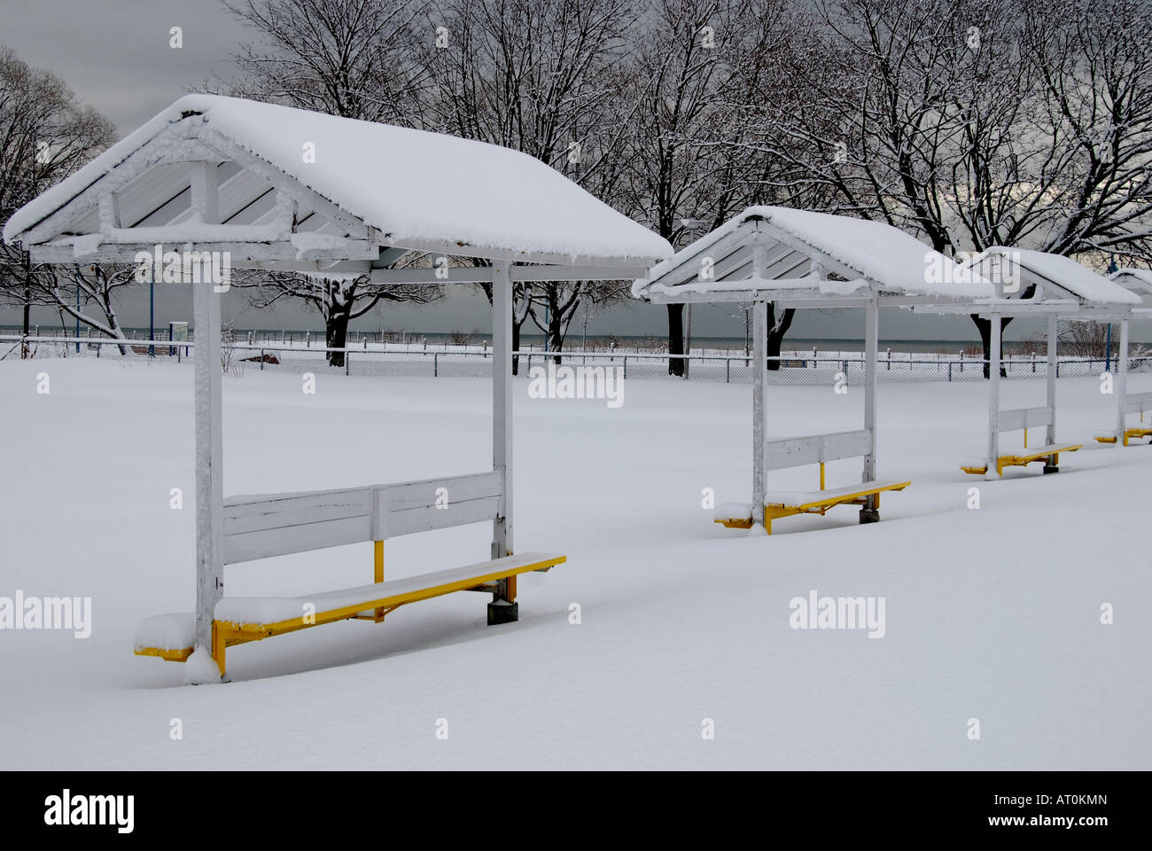 Tierheime in einem Toronto Bowling Green nach einem Winter Schneesturm Stockfoto