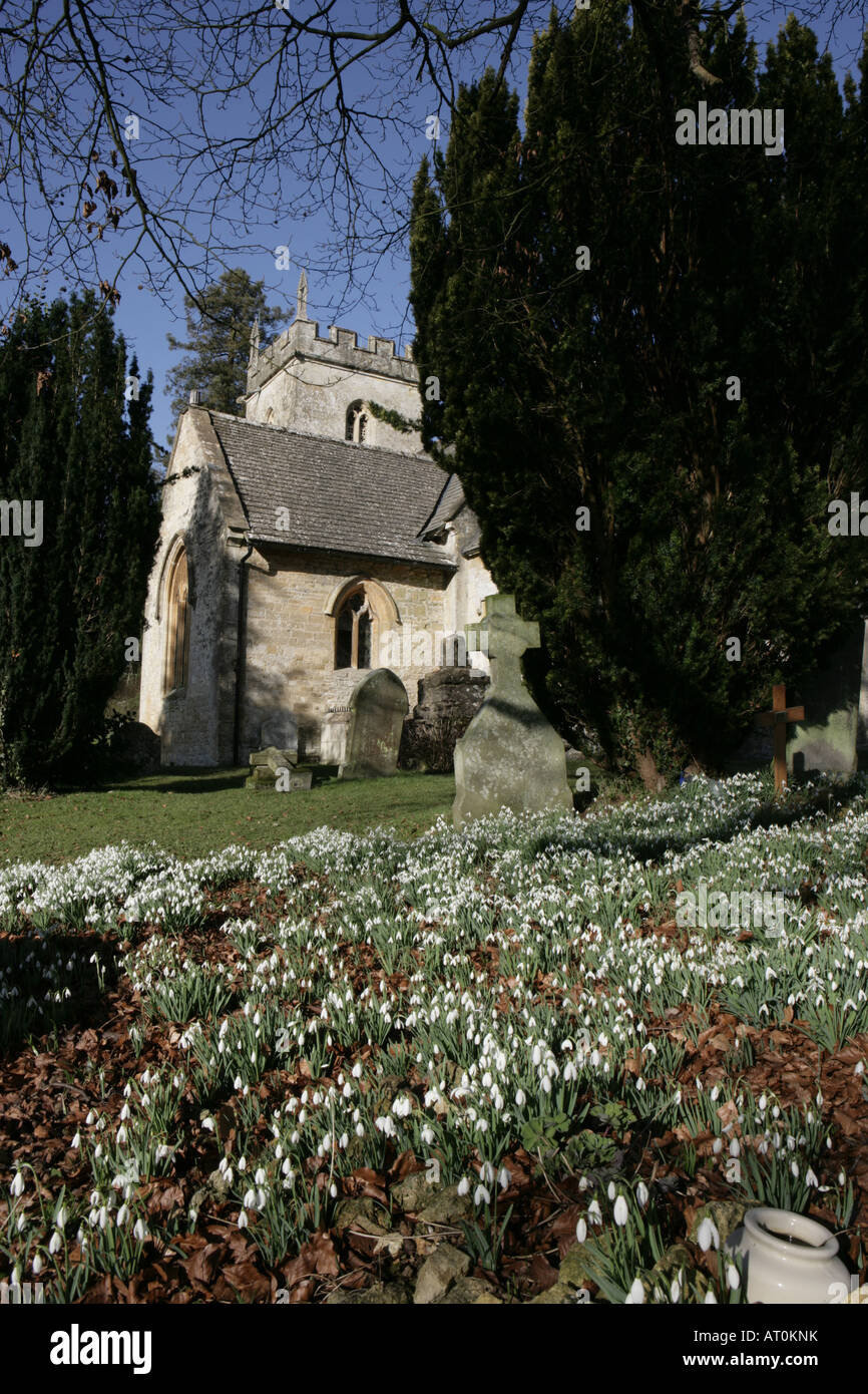 Schneeglöckchen neben der Kirche auf dem Gelände des Colesbourne Park Stockfoto