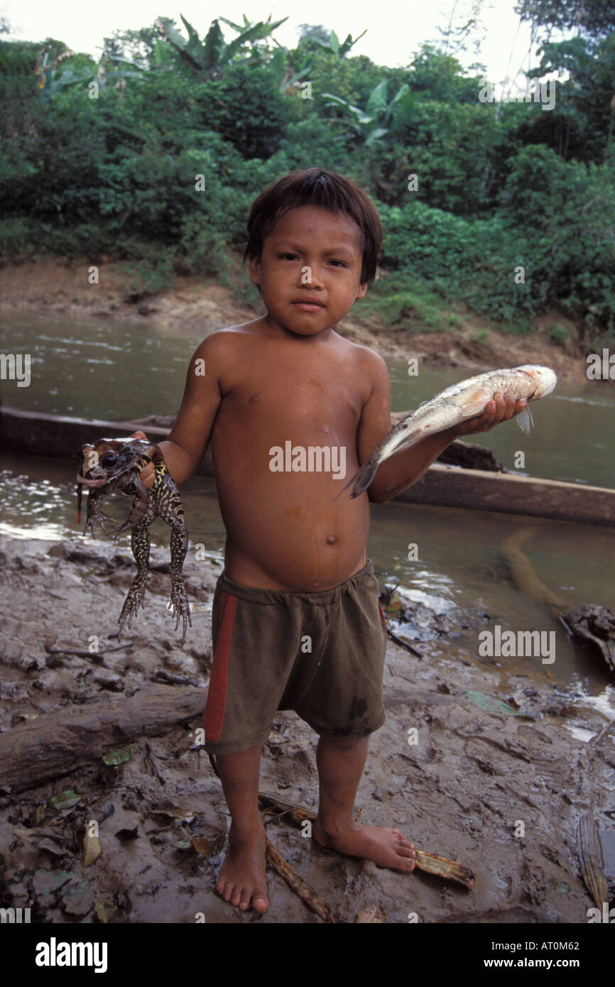 Cewa junge mit einem Fisch und Frosch Mittagessen ecuadorianischen Amazonas-Ecuador-Südamerika Stockfoto