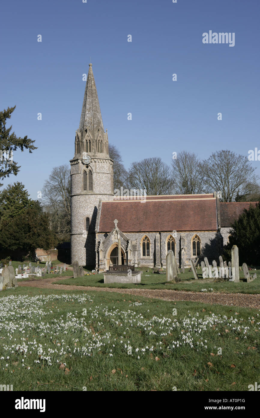 Schneeglöckchen in der Kirche Hof Od St Gregory s neben Welford Park Stockfoto