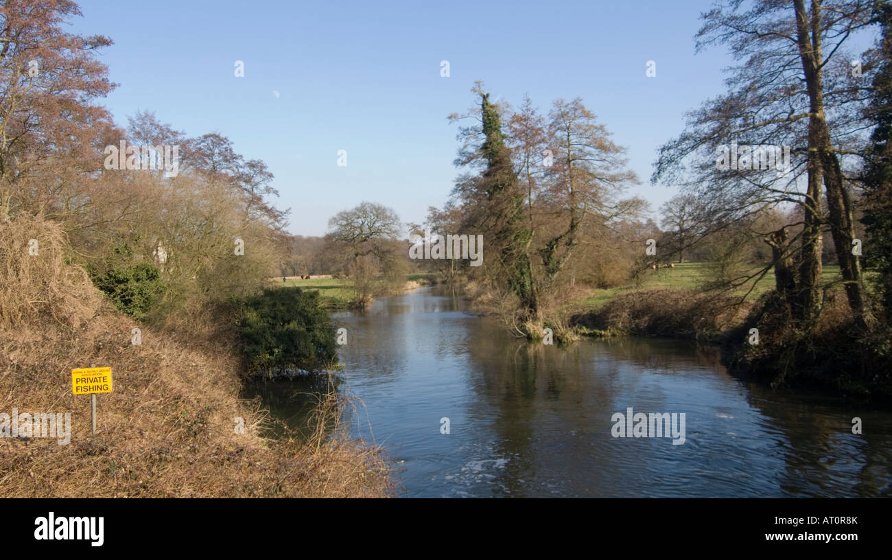 Fluss Wey bei Ripley Surrey UK Stockfoto